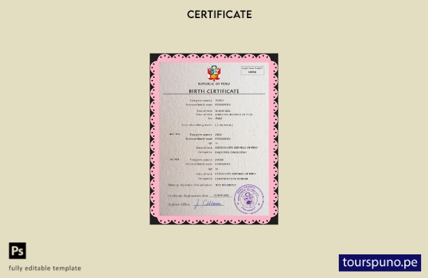 listo para imprimir plantilla PSD de certificado de nacimiento de registro ci 47